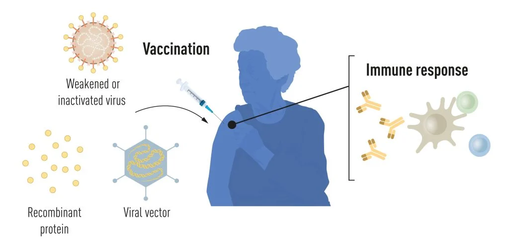 为新冠疫苗开发贡献“加速度”——2023年诺贝尔生理学或医学奖解读