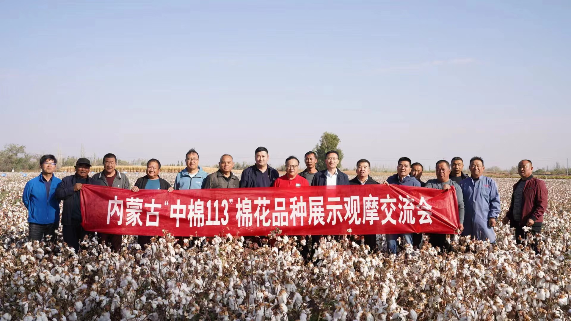 良种促棉花增产增效 “中棉113”展示观摩交流会在内蒙古召开