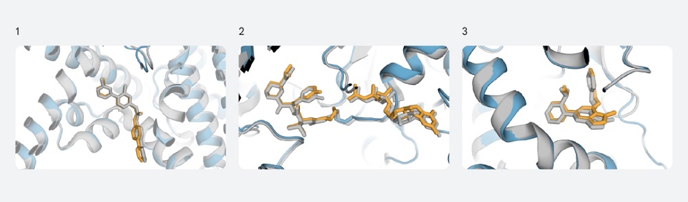 总编辑圈点|新一代“阿尔法折叠”登场，预测范围从蛋白质扩展到其他生物分子