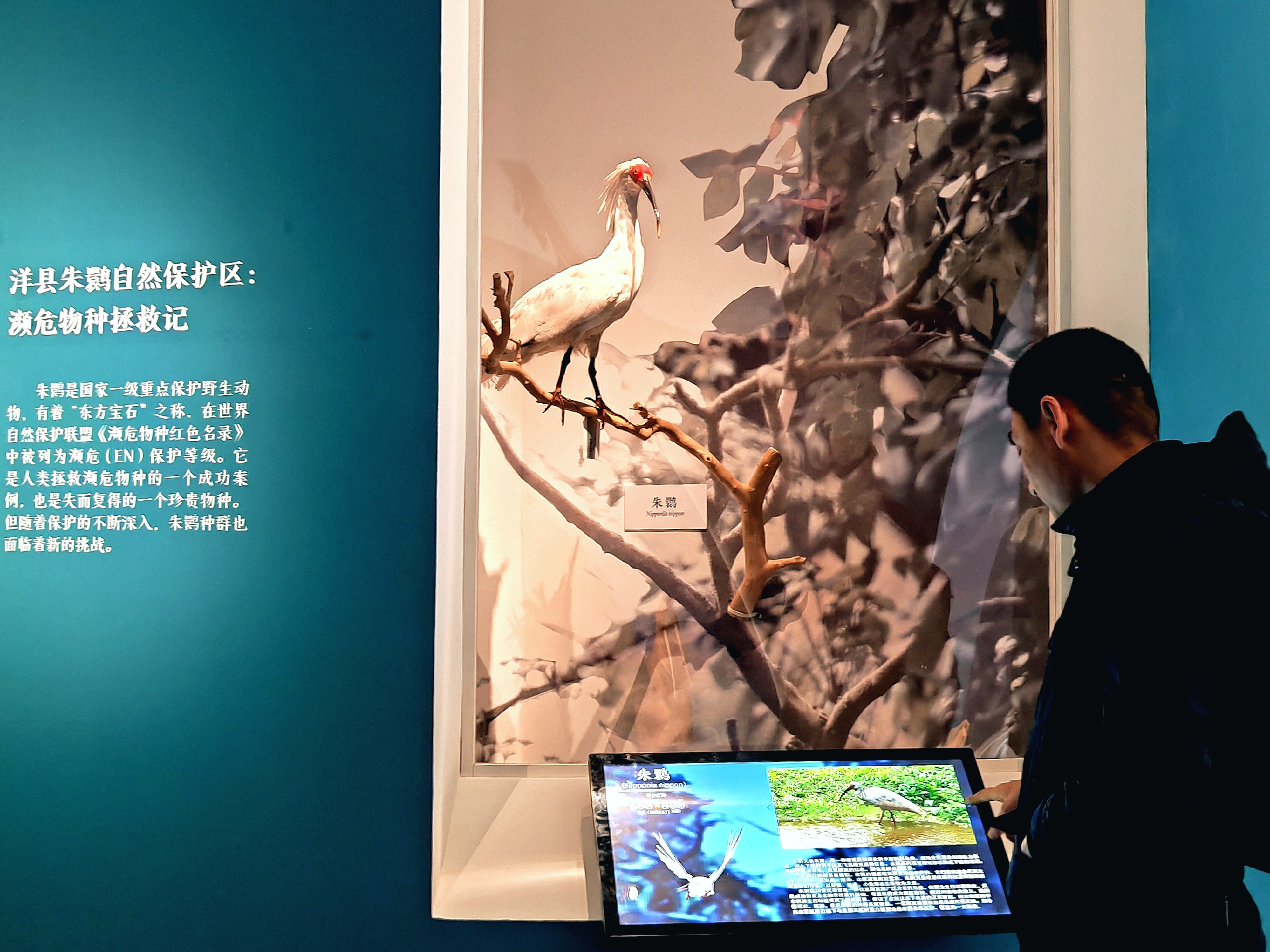 “共同家园——大自然的奇迹”展览在中国国家博物馆正式对外展出