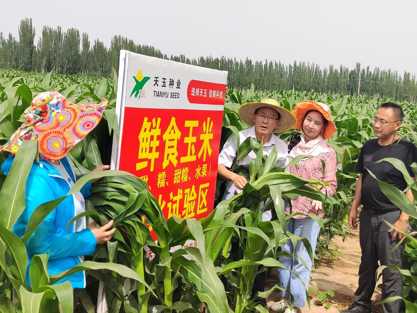 吴洪涛：培育小种子 种出富民“大产业”