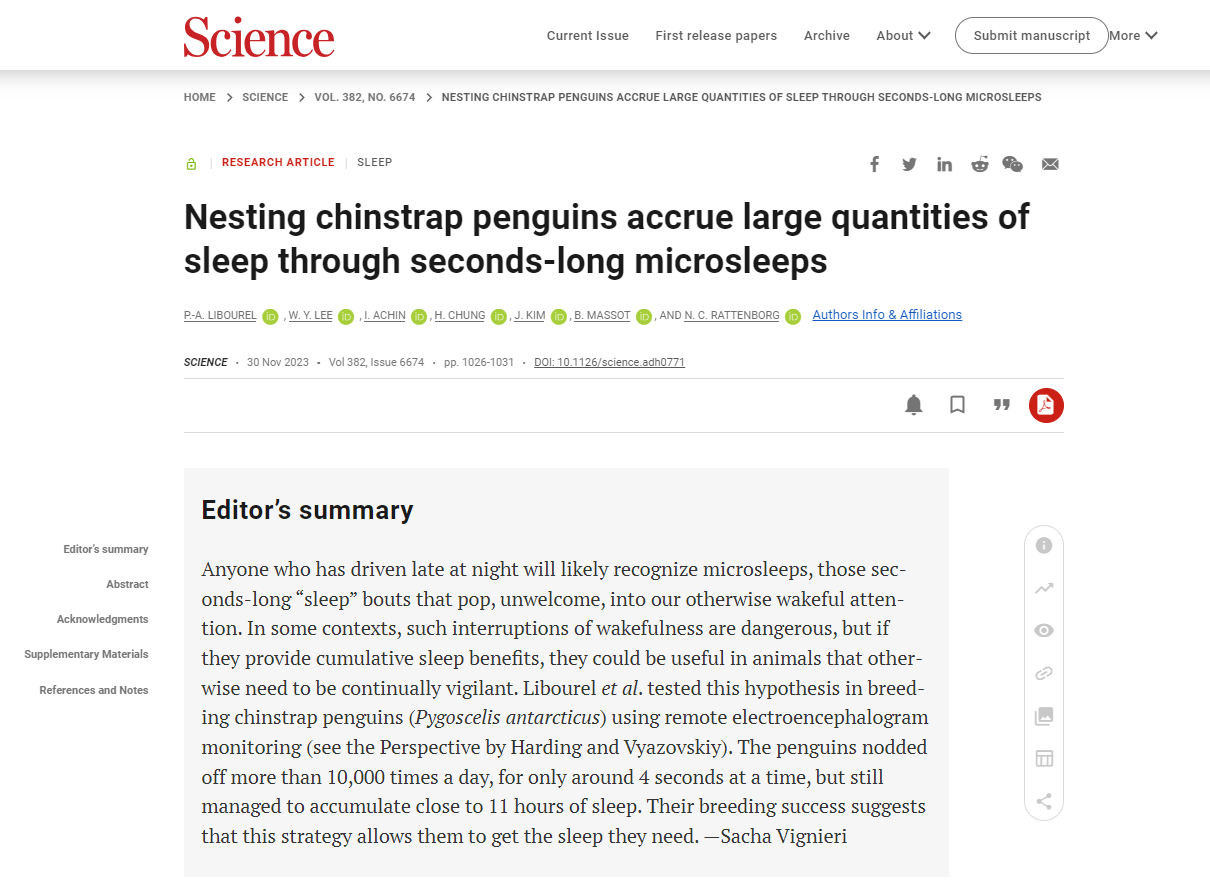 一天睡1万次，每次睡4秒钟！这种企鹅也太会打盹儿了吧